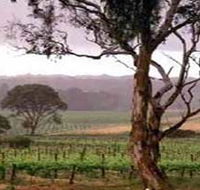 Yangarra Estate Vineyard - Accommodation Main Beach