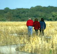 Onkaparinga River Recreation Park - Accommodation Main Beach