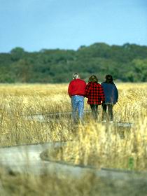 Onkaparinga River Recreation Park - Accommodation Main Beach 0