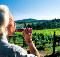 Ashton Hills Vineyard - Accommodation Main Beach
