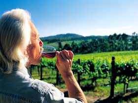 Ashton Hills Vineyard - Accommodation Main Beach 0