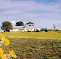 Lucindale Country Club - Accommodation Main Beach
