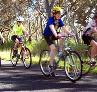 Penola Cycling Trails - Accommodation Main Beach