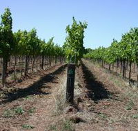 Temple Bruer Winery - Accommodation Main Beach