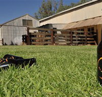 Wilkadene Woolshed Brewery - Accommodation Main Beach