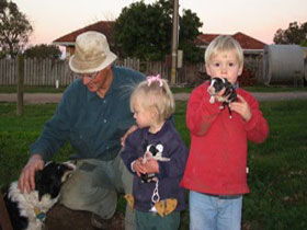 Orrie Cowie Merino And Poll Merino Stud - Accommodation Main Beach 0