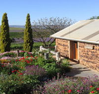 Coriole Vineyards - Accommodation Main Beach