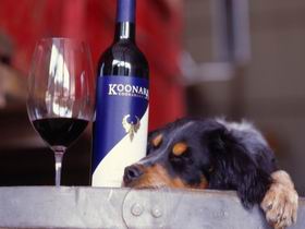 Koonara Wines - Accommodation Main Beach 0