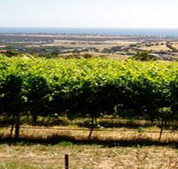 Braydun Hill Vineyard - Accommodation Main Beach
