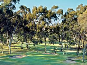 Tanunda Pines Golf Club - Accommodation Main Beach 0