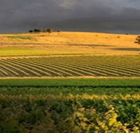 Kellermeister Wines - Accommodation Main Beach