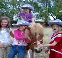Amberainbow Pony Rides - Accommodation Main Beach