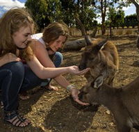 Kangaroo Island Wildlife Park - Accommodation Main Beach