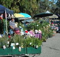 Meadows Monthly Market - Accommodation Main Beach