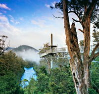 Tahune Adventures Tasmania - Accommodation Main Beach