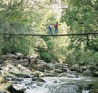 Arve Forest Drive - Accommodation Main Beach