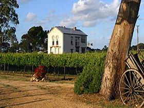 Highbank Vineyards - Accommodation Main Beach 0