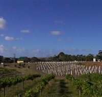 Deep Creek Wines and Alpacas - Accommodation Main Beach