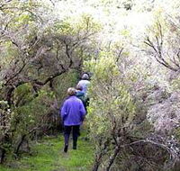 Jack And Hilda McArthur Walk - Accommodation Main Beach