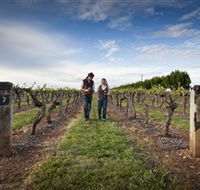 Coonawarra Wineries Walking Trail - Accommodation Main Beach