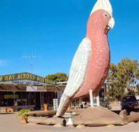 The Big Galah - Accommodation Main Beach