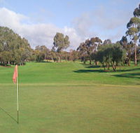 Regency Park Golf Course - Accommodation Main Beach