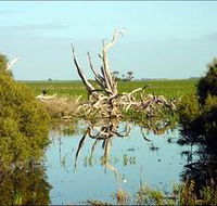 Bool Lagoon Game Reserve and Hacks Lagoon Conservation Park - Accommodation Main Beach