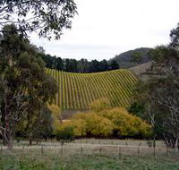 Mt Bera Vineyards - Accommodation Main Beach