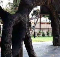 Old Gum Tree - Accommodation Main Beach