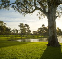 Serafino Wines - Accommodation Main Beach