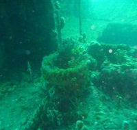 Wallaroo Scuba Club - Accommodation Main Beach