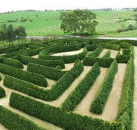 Mintaro Maze and Gift Shop - Accommodation Main Beach