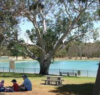Naracoorte Nature Park and Swimming Lake - Accommodation Main Beach