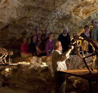 Naracoorte Caves National Park - Accommodation Main Beach