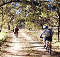 Bike About Mountain Bike Tours And Hire - Accommodation Main Beach