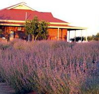 Bella Lavender Estate - Accommodation Main Beach