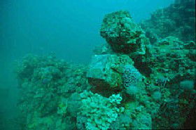 Adelaide's Underwater Heritage Trail - Accommodation Main Beach 0