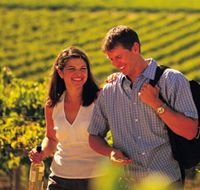 Lady Bay Vineyard - Accommodation Main Beach