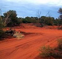 Tallaringa Conservation Park - Accommodation Main Beach