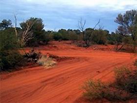 Tallaringa Conservation Park - Accommodation Main Beach 0