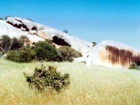 Ucontitchie Hill - Accommodation Main Beach 0