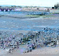 Jervois Basin Ships' Graveyard - Accommodation Main Beach