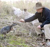 Sinclair's Gully - Accommodation Main Beach