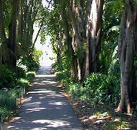 Adelaide Botanic Garden - Accommodation Main Beach