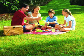 Bruny Island Berry Farm - Accommodation Main Beach 0