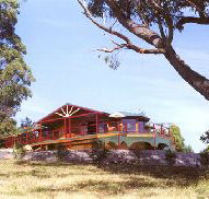 Barringwood Park Vineyard - Accommodation Main Beach
