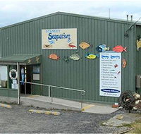 Stanley Seaquarium - Accommodation Main Beach