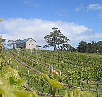Bruny Island Premium Wines Bar and Grill - Accommodation Main Beach