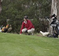 Tasmania Golf Club - The - Accommodation Main Beach