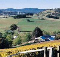 Freycinet Vineyards Pty Ltd - Accommodation Main Beach